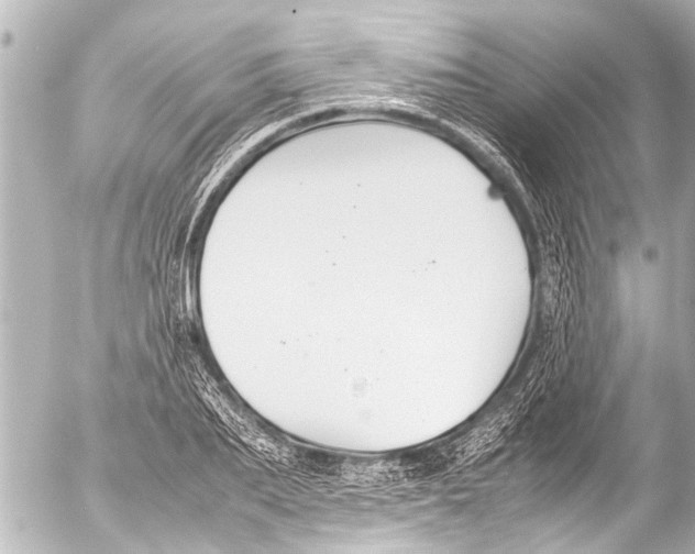 X0000054470887200508270126