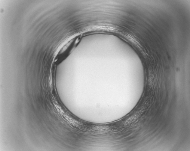 X0000054470888200508270126