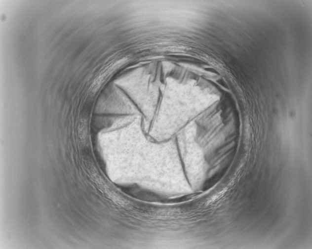 X0000054470889200508270126