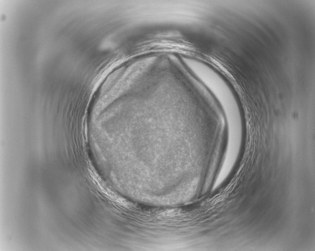 X0000054470891200508270126