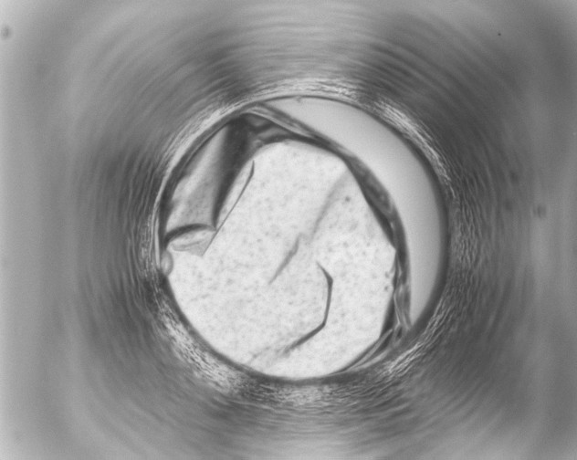 X0000054470892200508270126