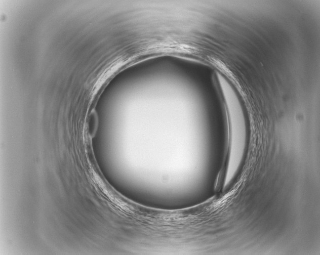 X0000054470893200508270126