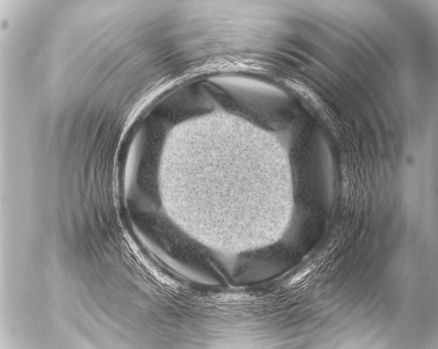 X0000054470894200508270126