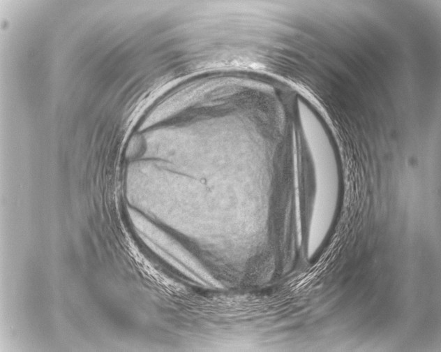 X0000054470895200508270126