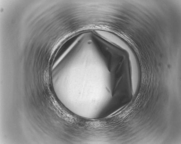 X0000054470896200508270126