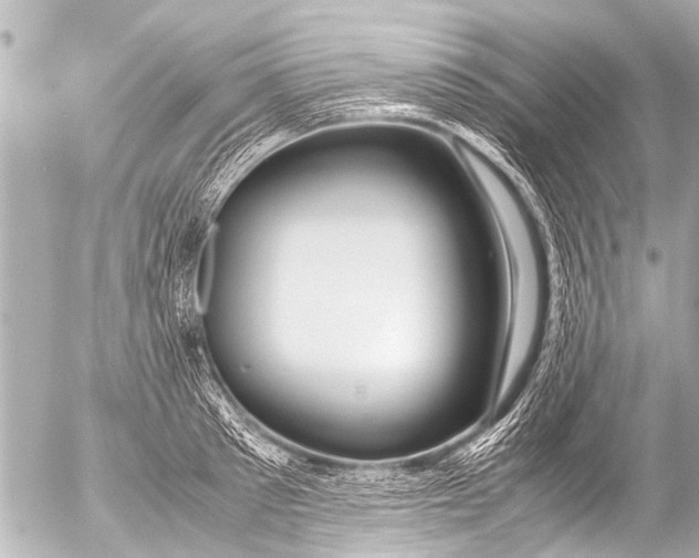 X0000054470897200508270126