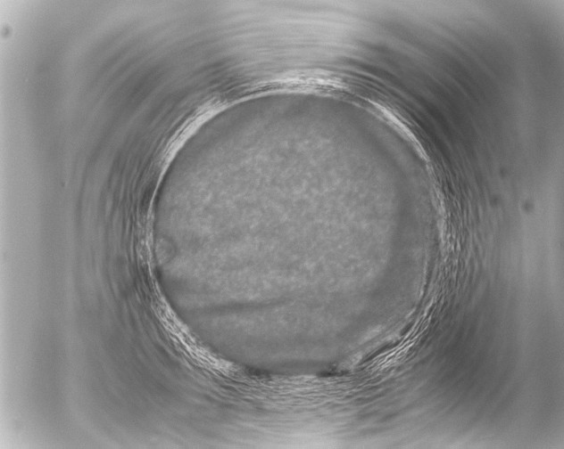 X0000054470899200508270126