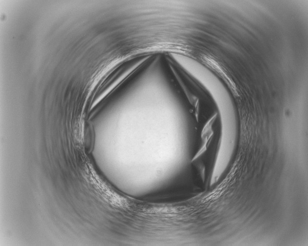 X0000054470900200508270126