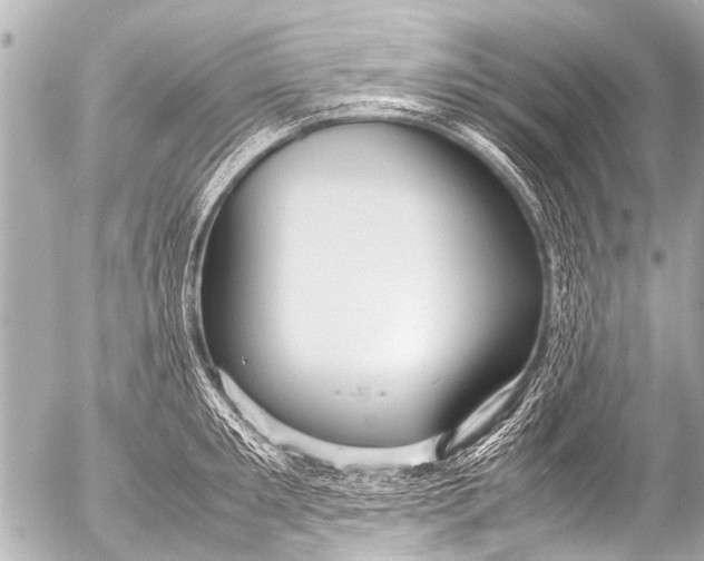 X0000054470901200508270126