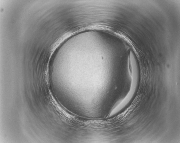 X0000054470902200508270126