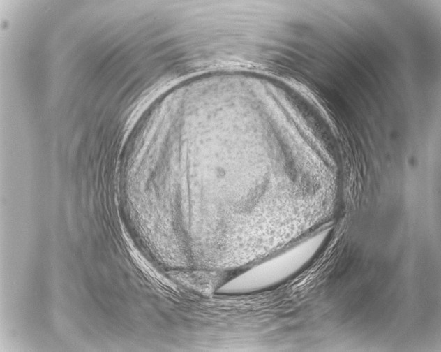 X0000054470903200508270126