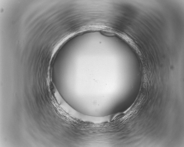 X0000054470904200508270126