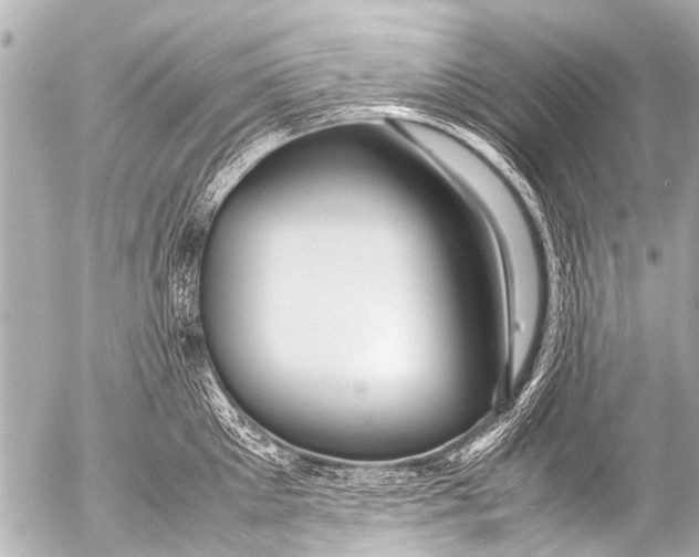 X0000054470905200508270126