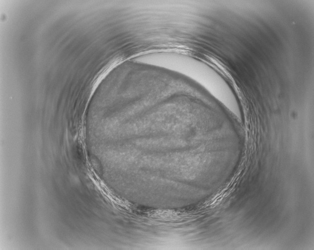 X0000054470907200508270126