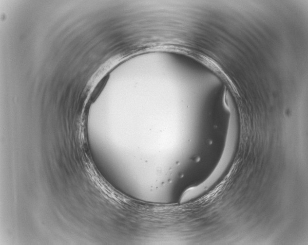 X0000054470908200508270126