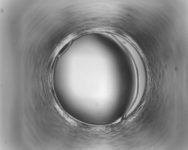 X0000054470909200508270126