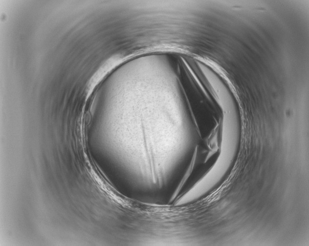 X0000054470910200508270126