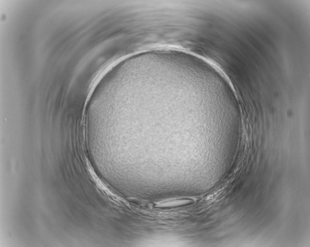 X0000054470911200508270126