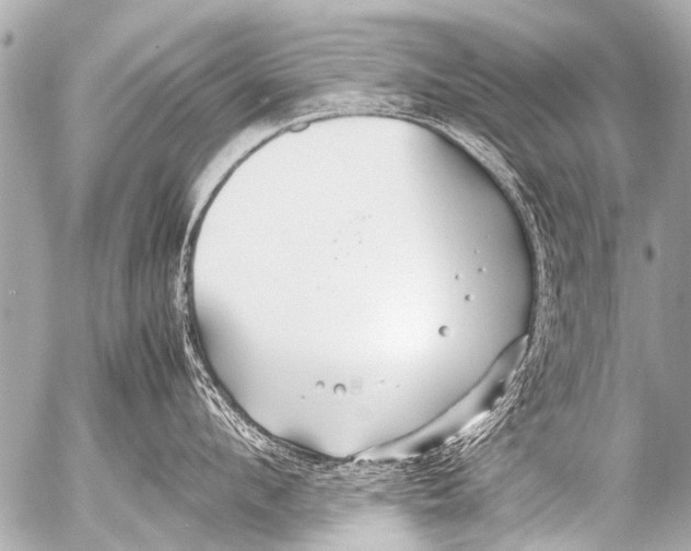 X0000054470912200508270126