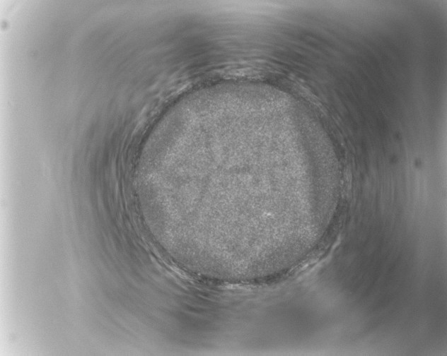 X0000054470913200508270125