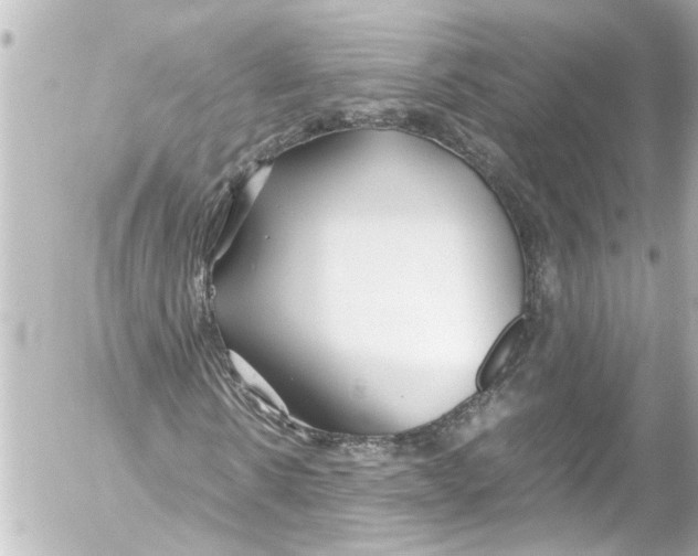 X0000054470914200508270125