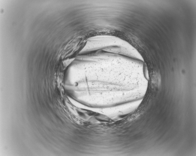 X0000054470916200508270125