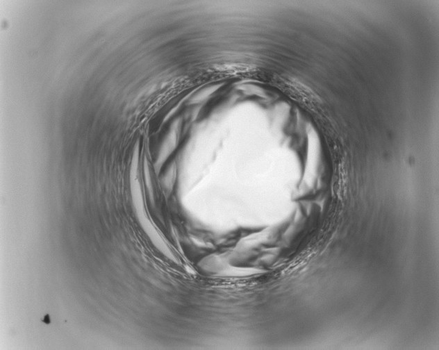 X0000054470917200508270125