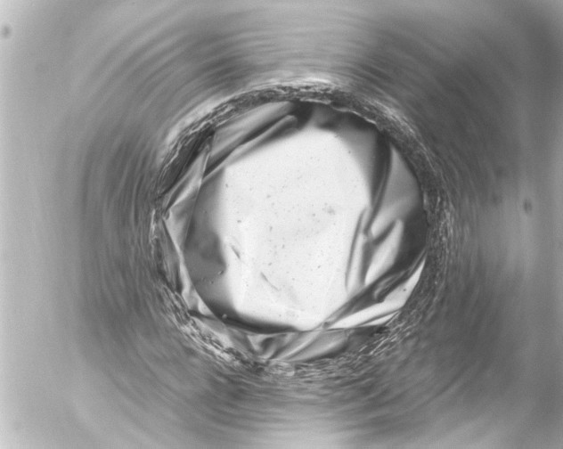 X0000054470920200508270125