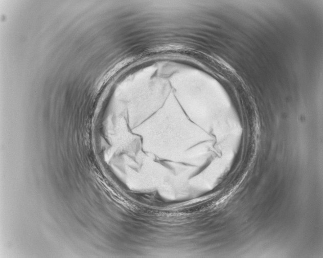 X0000054470921200508270125