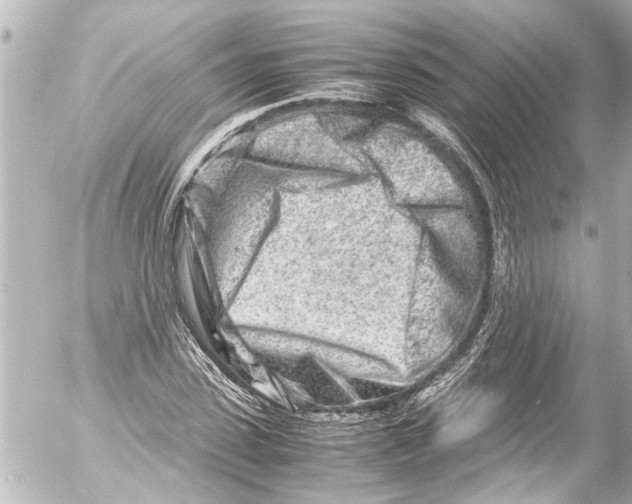 X0000054470923200508270125