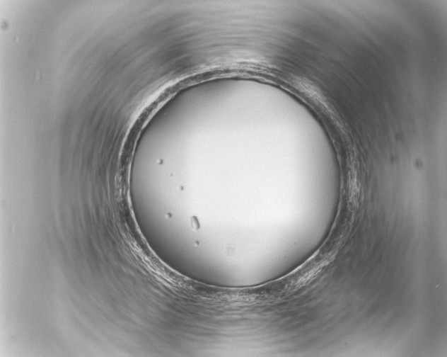 X0000054470924200508270125