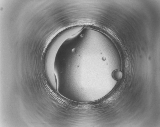 X0000054470926200508270125