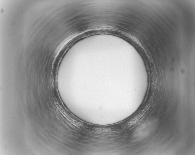 X0000054470927200508270125