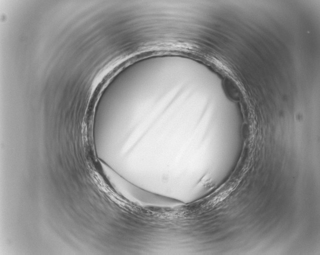 X0000054470928200508270126