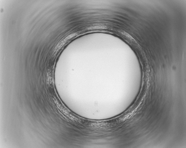 X0000054470929200508270126