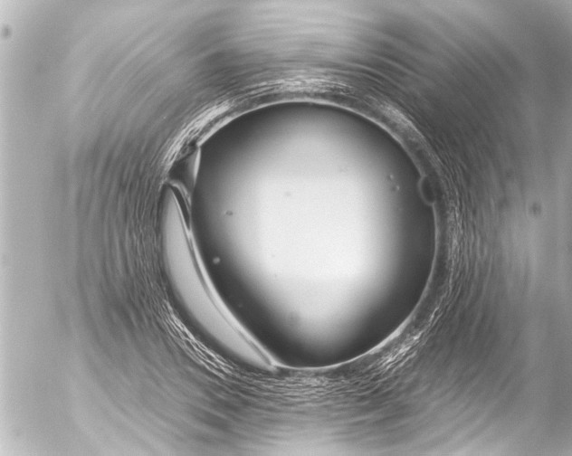 X0000054470930200508270126