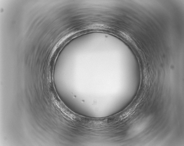 X0000054470931200508270126