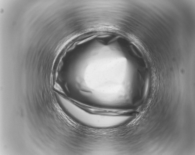 X0000054470932200508270126