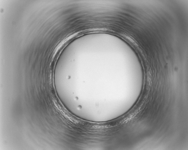 X0000054470933200508270126