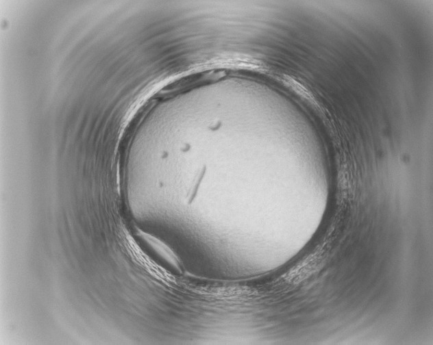 X0000054470934200508270126