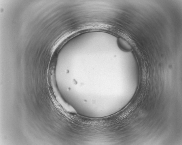 X0000054470936200508270126