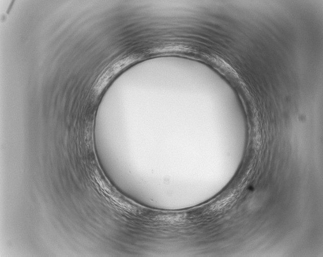 X0000054470937200508270126