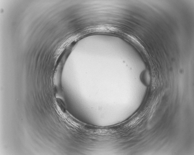 X0000054470938200508270126