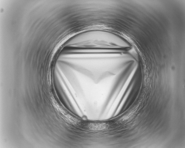 X0000054470939200508270126