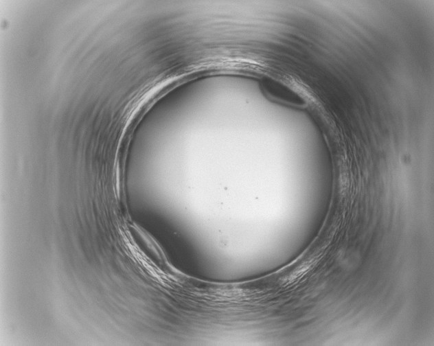 X0000054470940200508270126