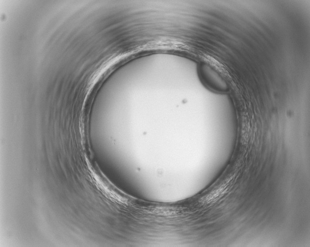 X0000054470942200508270126