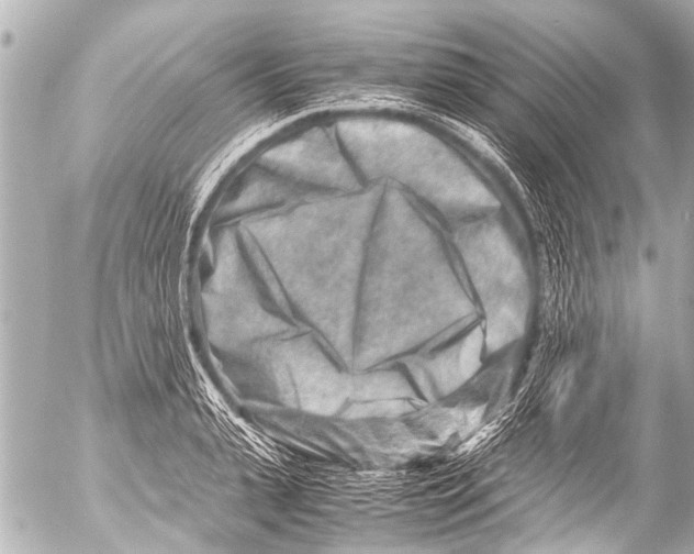 X0000054470943200508270126