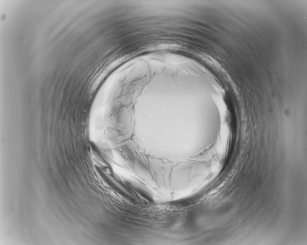 X0000054470945200508270126