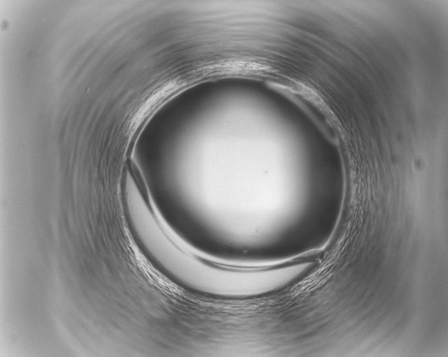 X0000054470946200508270126