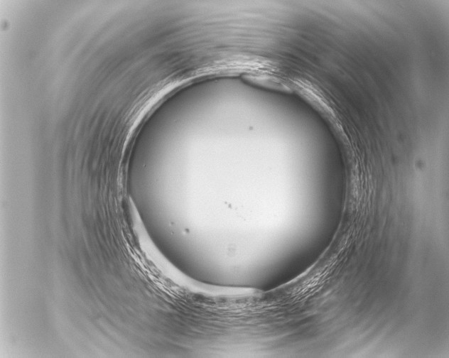 X0000054470948200508270126